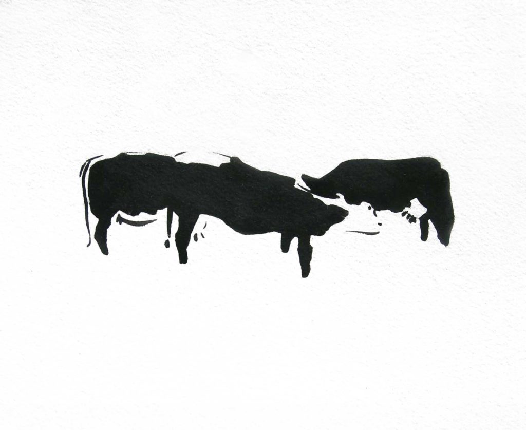 Mucche
